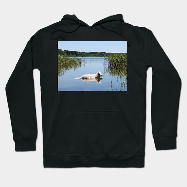 Reflection Hoodie by Trine